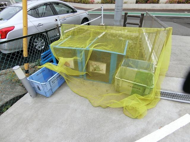 CHELSEA日野の物件内観写真