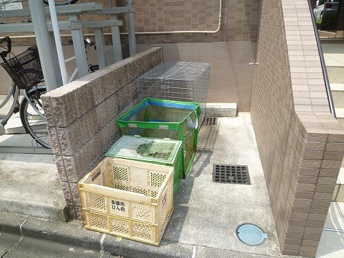 青木葉バーゼル館の物件内観写真