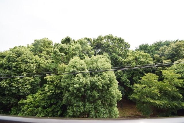 コンフォール ソシアの物件内観写真