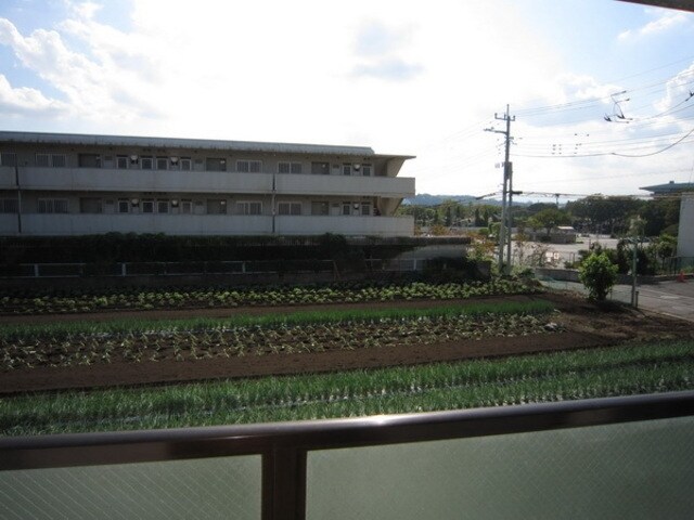 ザ・サム・ハラの物件内観写真