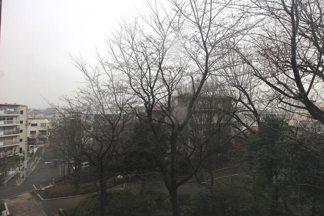 HF若林公園レジデンスの物件内観写真