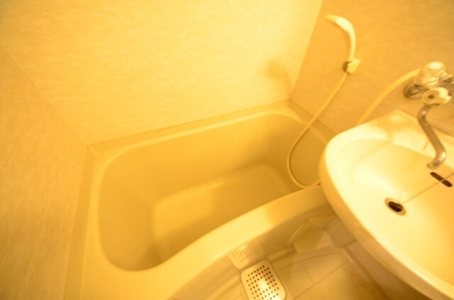 エス・ドミールの物件内観写真