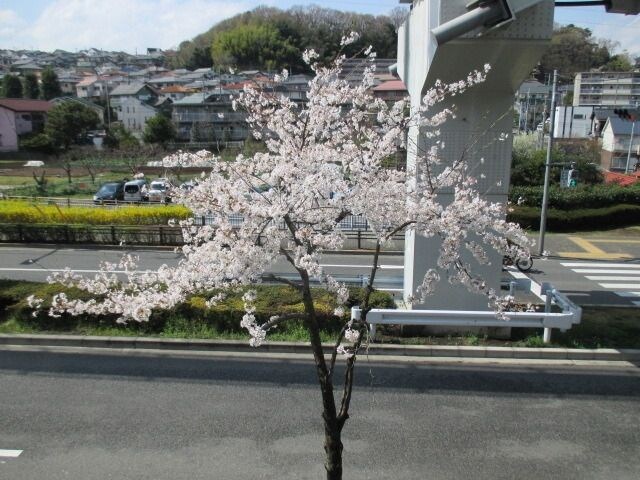 Uトピア高幡不動の物件内観写真