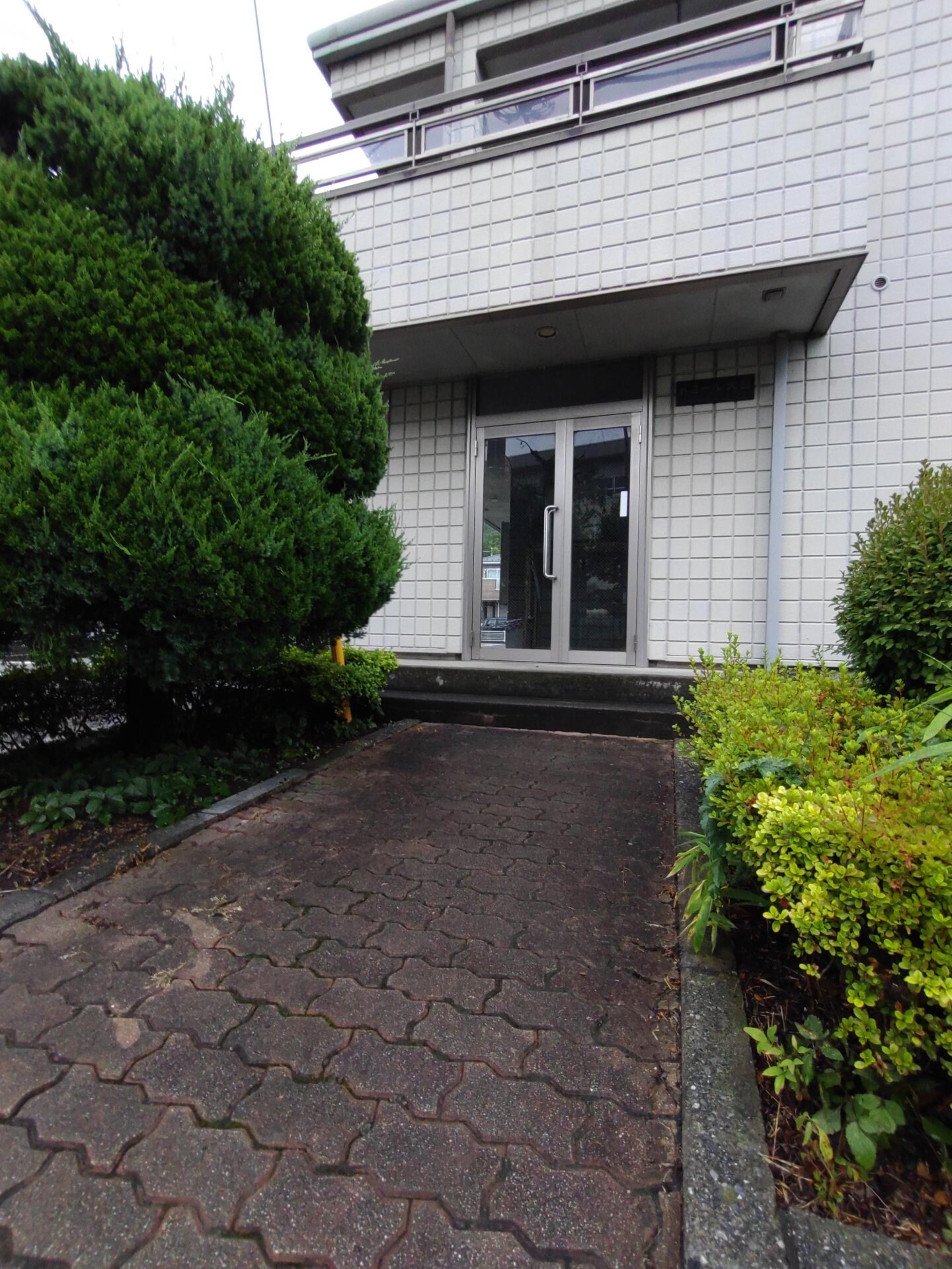 ドミール犬目の物件内観写真