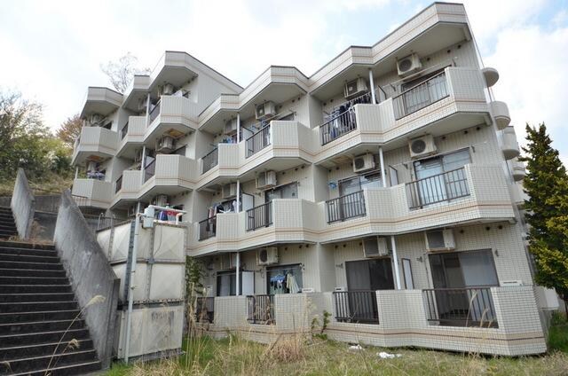 ホワイトウィング左入の物件内観写真