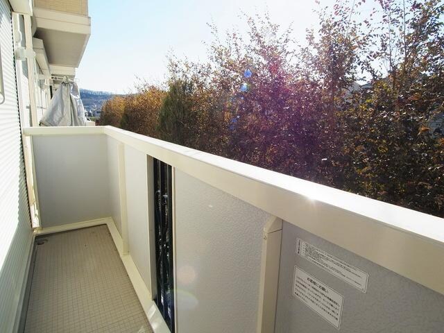 ドエル59の物件内観写真