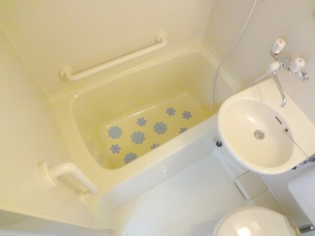 白樺マンションの物件内観写真