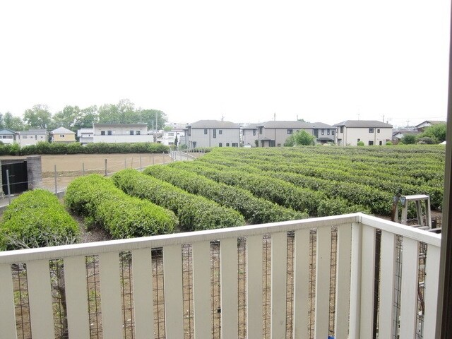 グレースヒルの物件内観写真