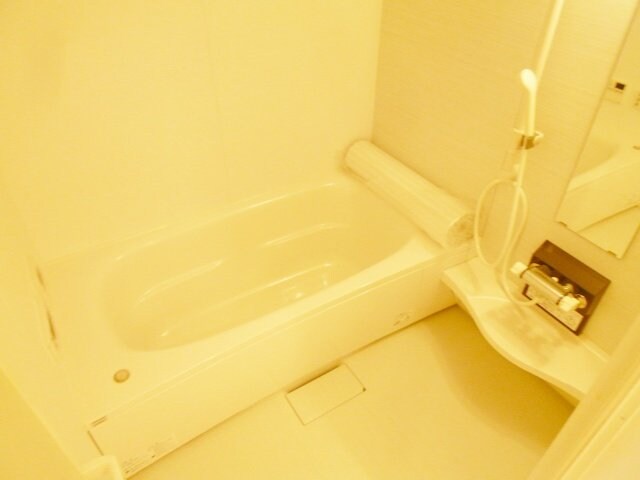 La Luce(ラ・ルーチェ)の物件内観写真