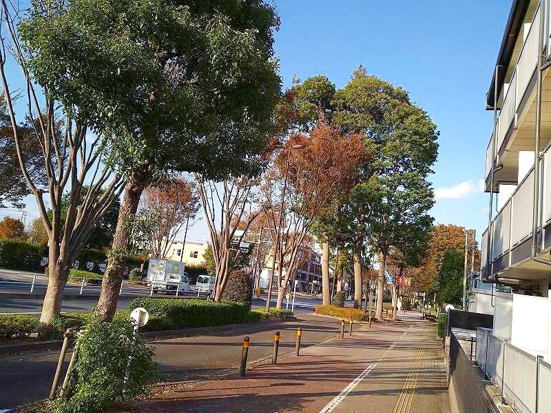 レオパレスSANYAの物件内観写真