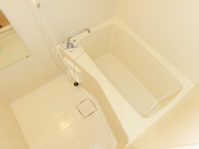 ラグジュアリーアパートメント砧の物件内観写真