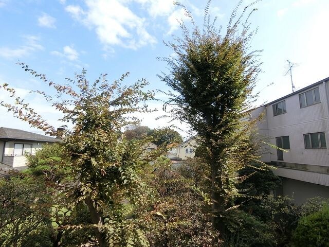 ルネッサの物件内観写真