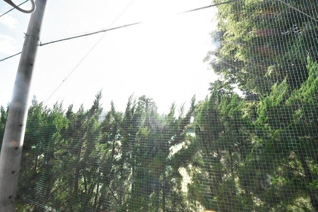 レオネクストコンセルトの物件内観写真