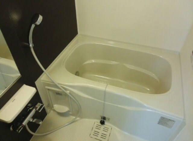 フェリシオIIの物件内観写真