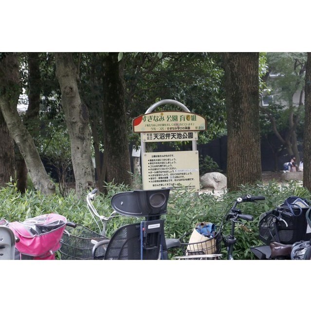 ソアラノーム荻窪天沼の物件内観写真