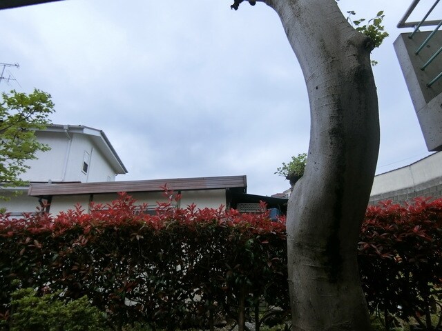 リサージュの物件内観写真