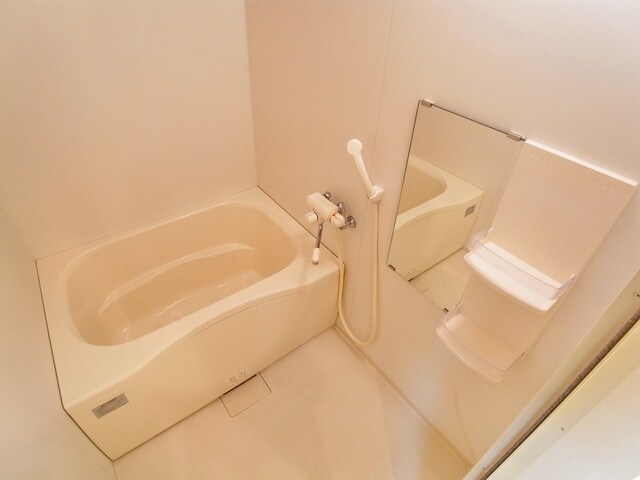 エス ルミエール の物件内観写真