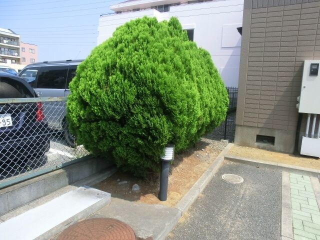 ファーストターフ鎌取C の物件内観写真