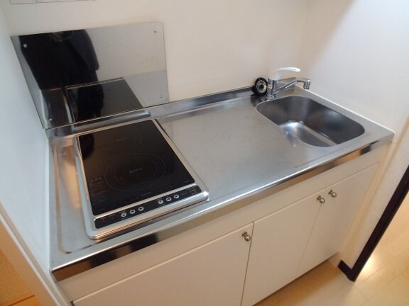 レオネクストサンハイツDの物件内観写真