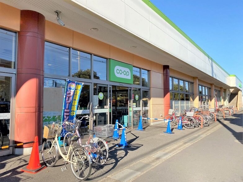 レオパレスフラワーの物件内観写真