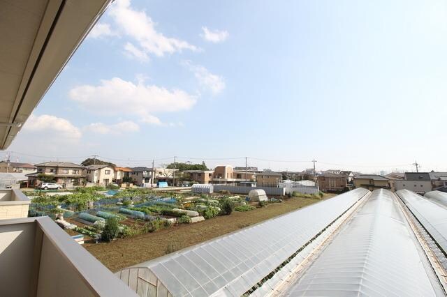 グローリアコートAの物件内観写真