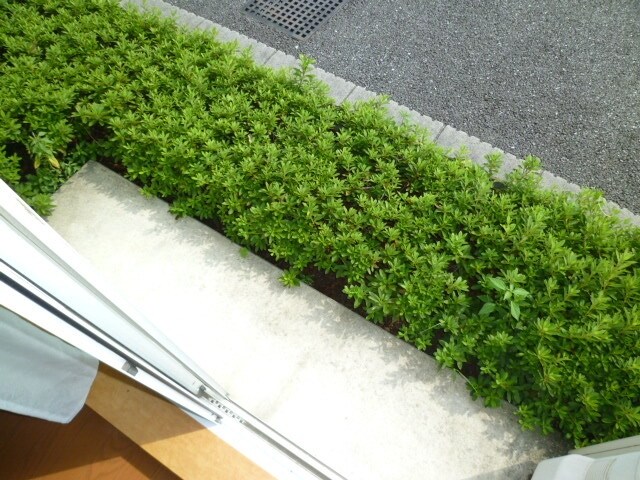 レオパレスフォレスト21Aの物件内観写真