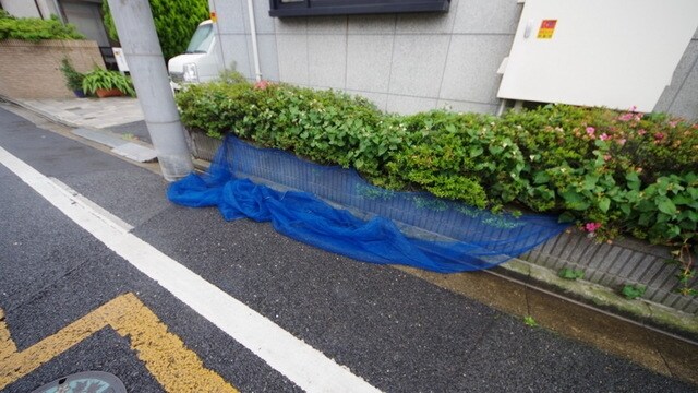 第6グリーンハイツの物件内観写真