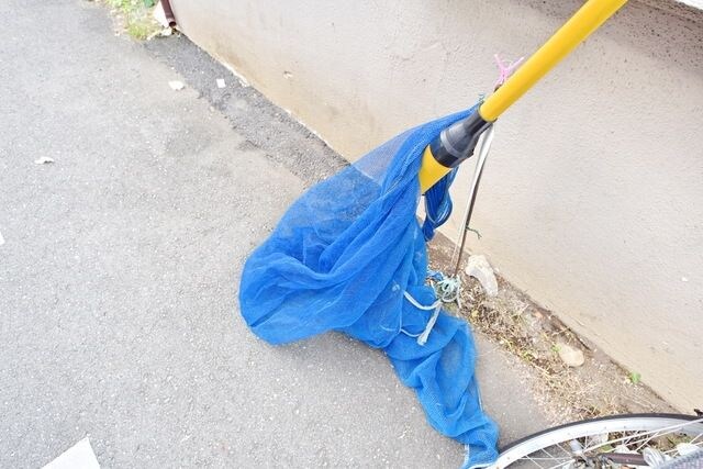 メゾンササキの物件内観写真