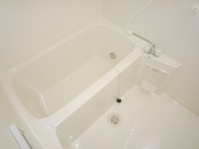 レオネクストファミリア白山の物件内観写真