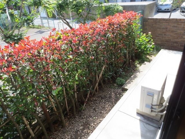 シェラ・エトワールの物件内観写真