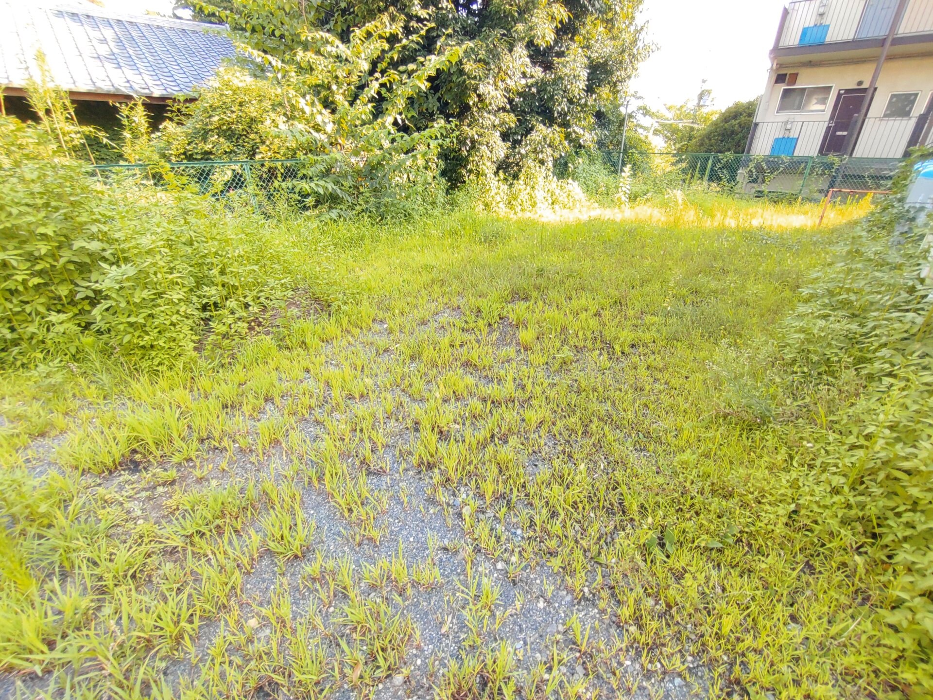 第1グリーンハイツの物件内観写真