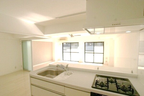 テルプシコレ東村山の物件内観写真