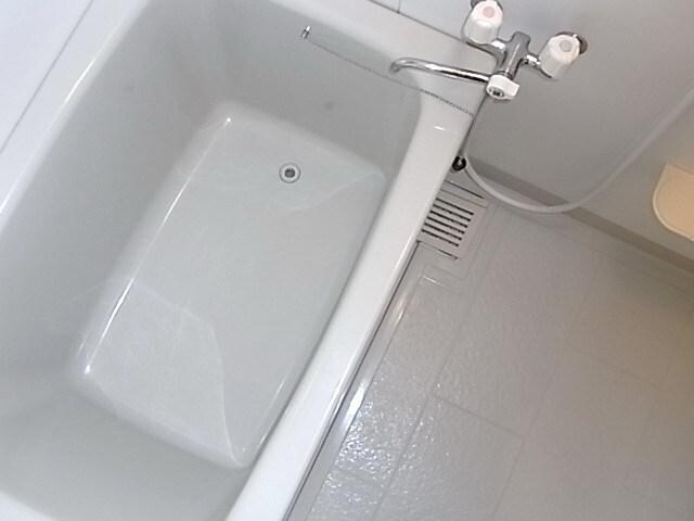 セント ローレンスの物件内観写真