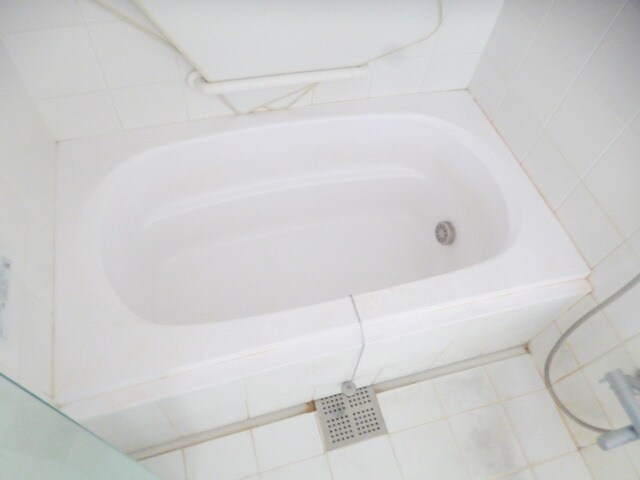 SUCCEED GARDEN Eの物件内観写真