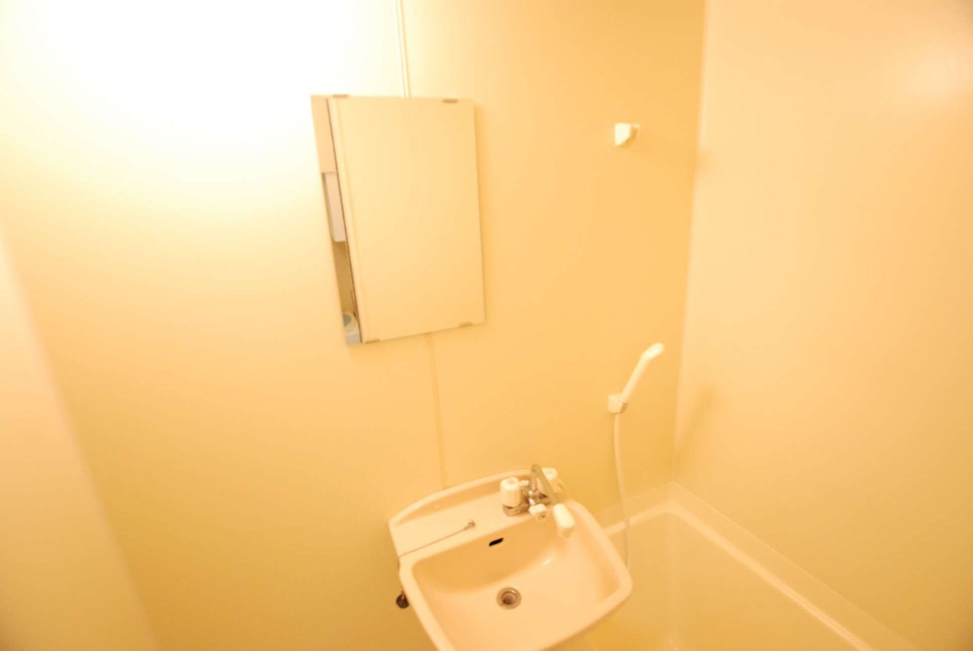 レオパレスドリーム33192の物件内観写真