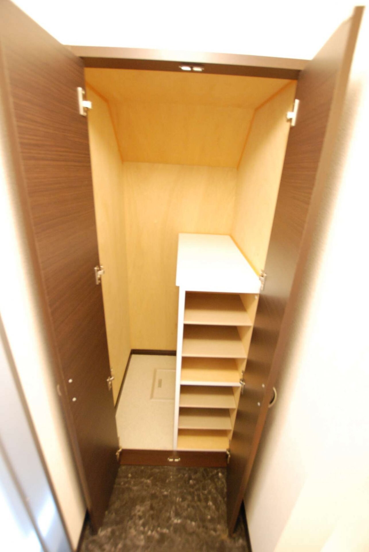 レオネクストビィグラッドIIの物件内観写真