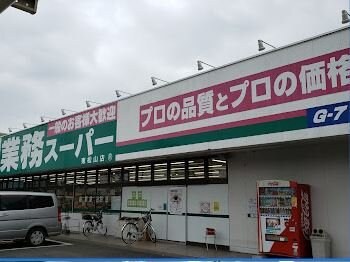 レオネクストビィグラッドIIの物件内観写真