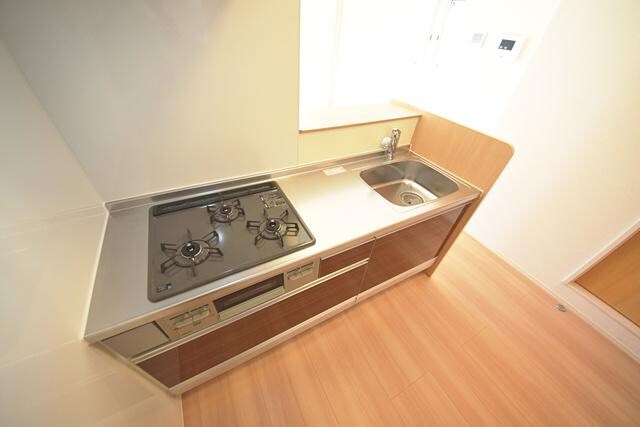 ロイジェントパークスレイクタウンIII J棟の物件内観写真