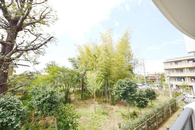 ティエラロッソの物件内観写真