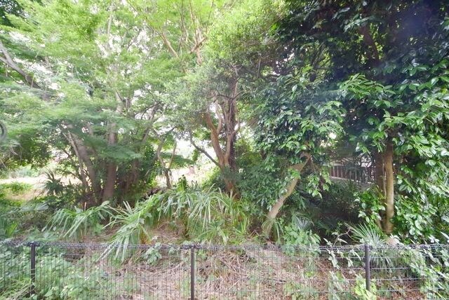 レオパレスゆげたII の物件内観写真