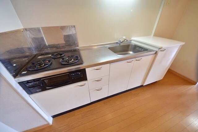 レオパレスコヅチIIの物件内観写真