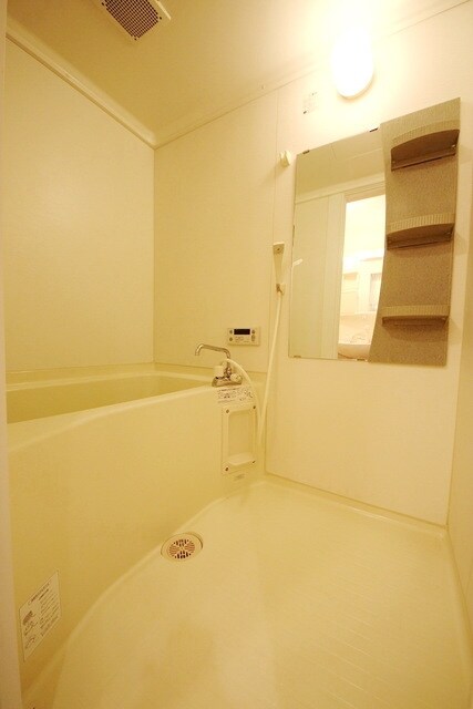 アメジストセージの物件内観写真