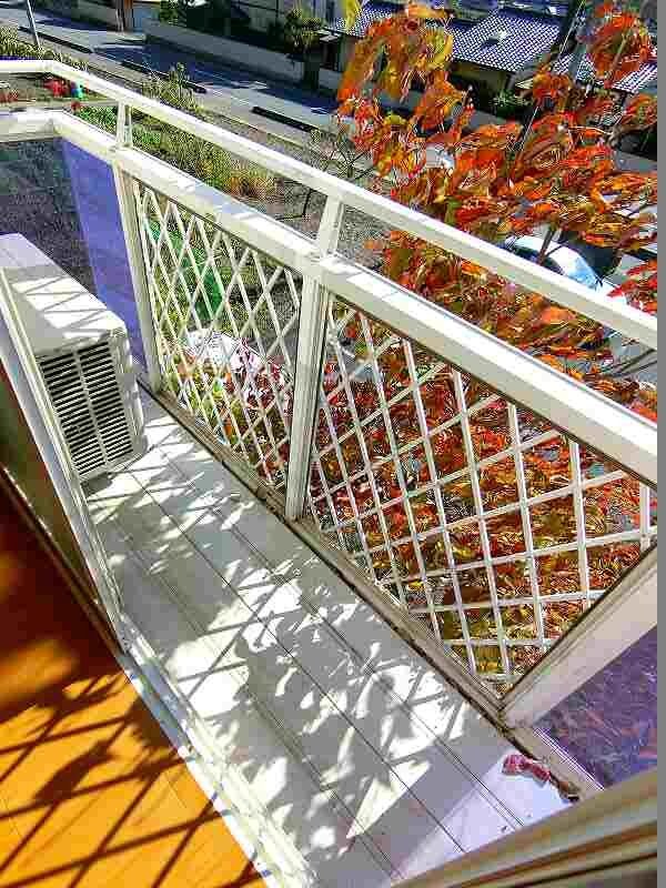 ニューシティー小川Iの物件内観写真