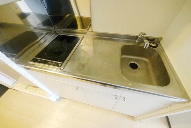 レオネクストさくらブリアンの物件内観写真