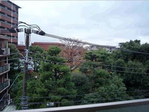 パレステュディオときわ台の物件内観写真