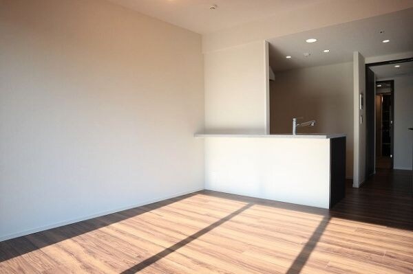 プレミストタワー白金高輪の物件内観写真