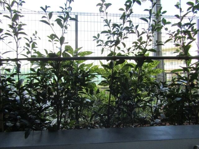 ケリア西馬込アジールコートの物件内観写真