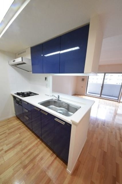 パークキューブ東品川の物件内観写真