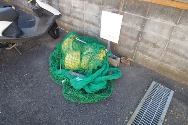 アムールグランシャリオ の物件内観写真