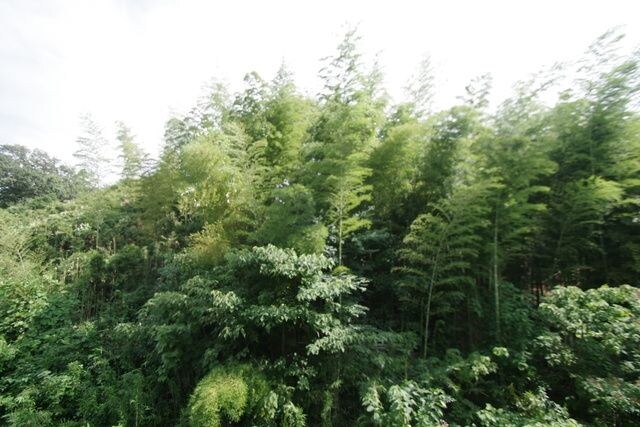 コンフォールクレールの物件内観写真